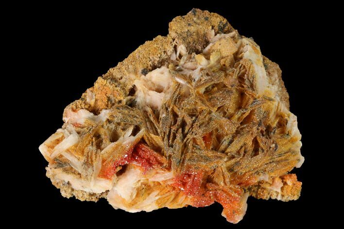 Sparkly Vanadinite Crystals on Pink Barite - Morocco #155402